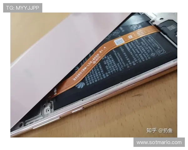 博鱼体育网页版安全可靠，保障用户个人信息与资金安全，享受无忧的体育博彩体验